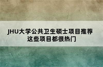 JHU大学公共卫生硕士项目推荐 这些项目都很热门